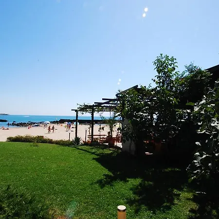 Semesteranläggning (resort) Aurelia Complex 3*